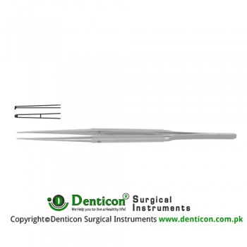 Diam-n-Dust™ Micro Dissecting Forcep Straight - 1 x 2 Teeth Stainless Steel, 21 cm - 8 1/4" Tip Size 6.0 x 0.7 mm